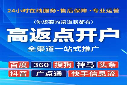 XX领域竞价广告的投放策略及效果展示